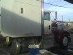 Talex25046