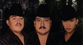 Los Bravos De Sinaloa