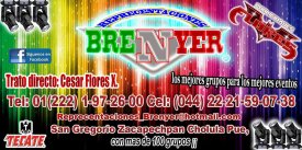 reprecentaciones brenyer