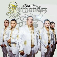GRUPO FERNANDEZ
