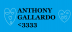 Gustavogallardo