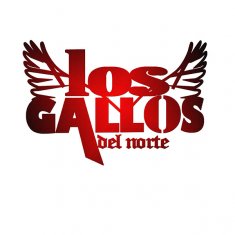 los gallos del norte