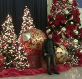 EN CHICAGO DIC 2011