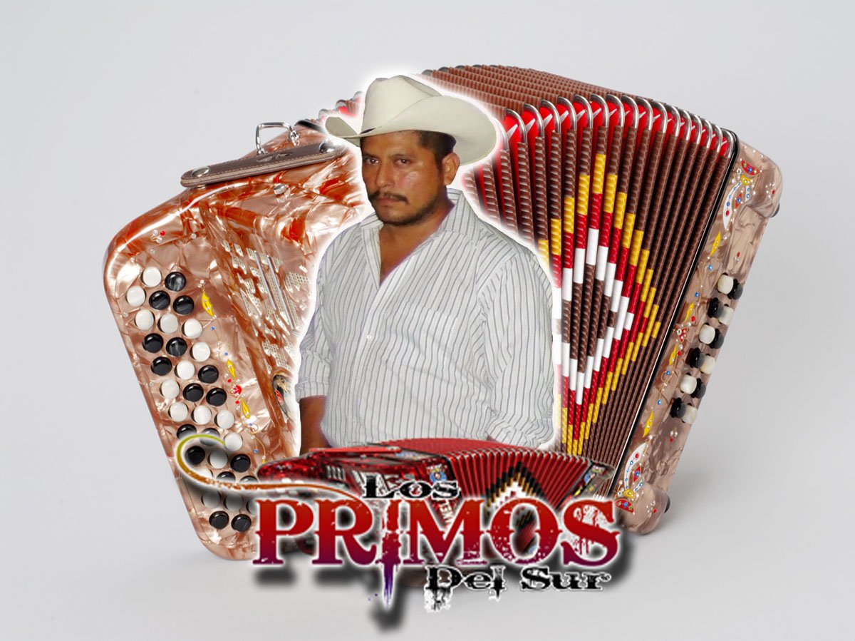 ELOY ACORDEONISTA